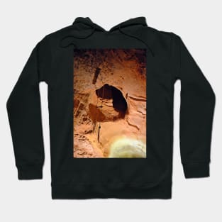 Cave of the Winds Study 5 Hoodie